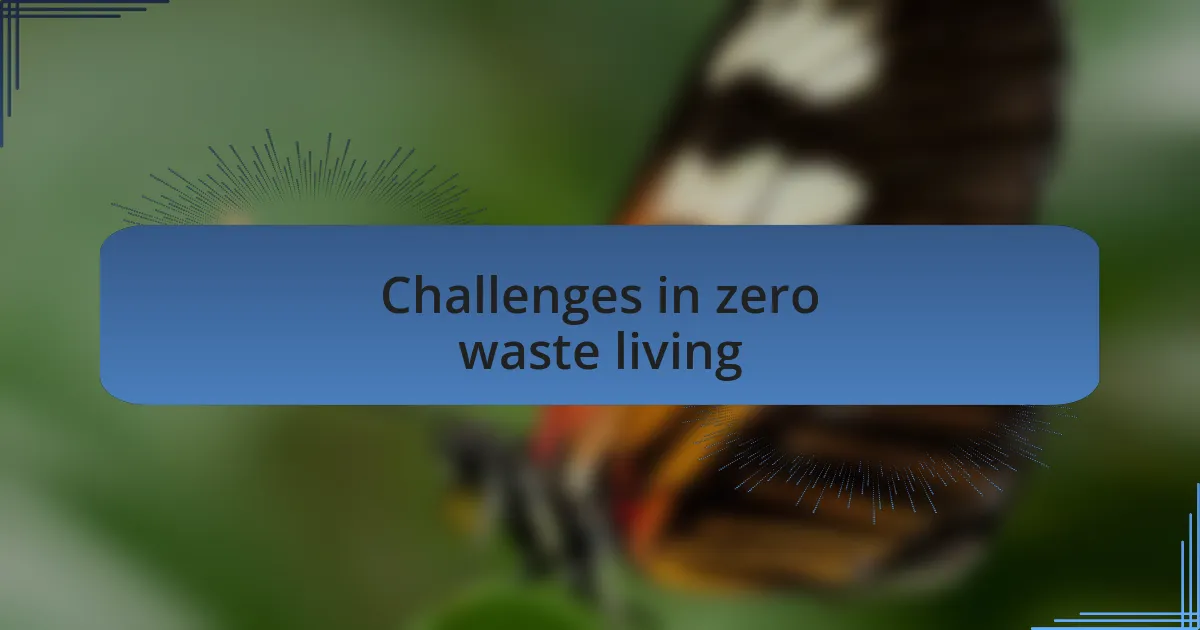 Challenges in zero waste living