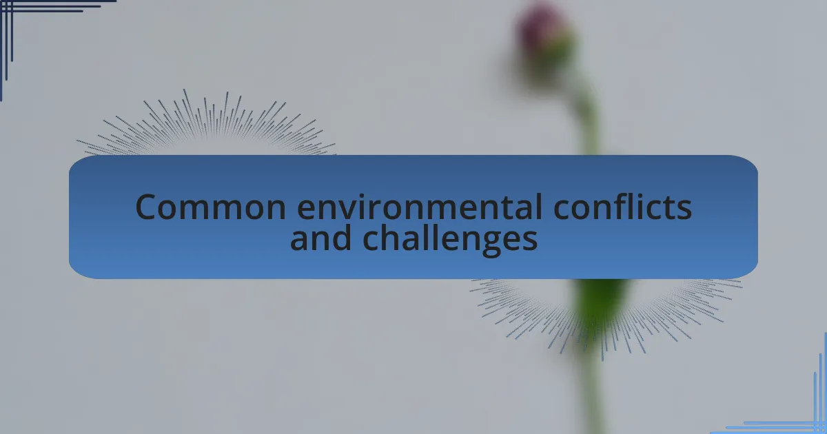 Common environmental conflicts and challenges