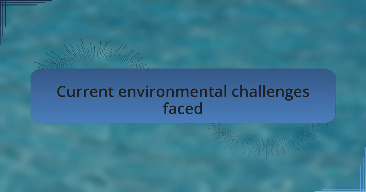 Current environmental challenges faced