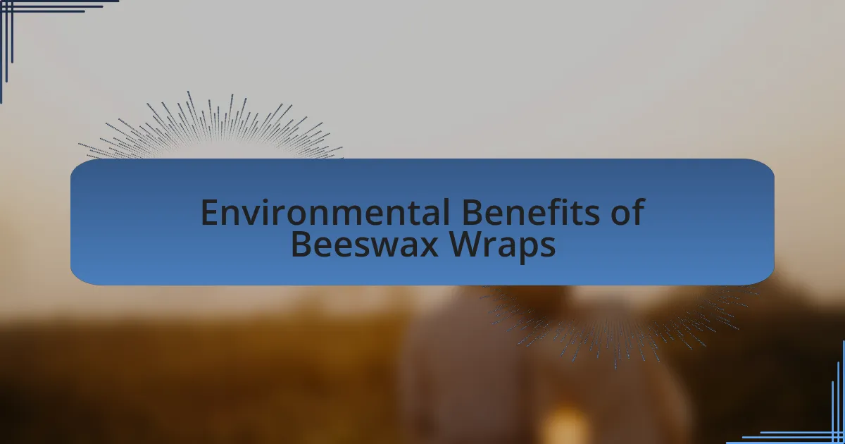 Environmental Benefits of Beeswax Wraps