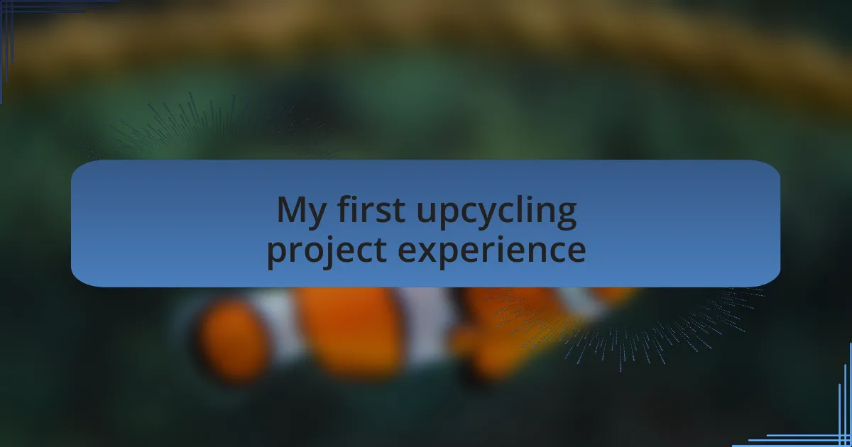 My first upcycling project experience