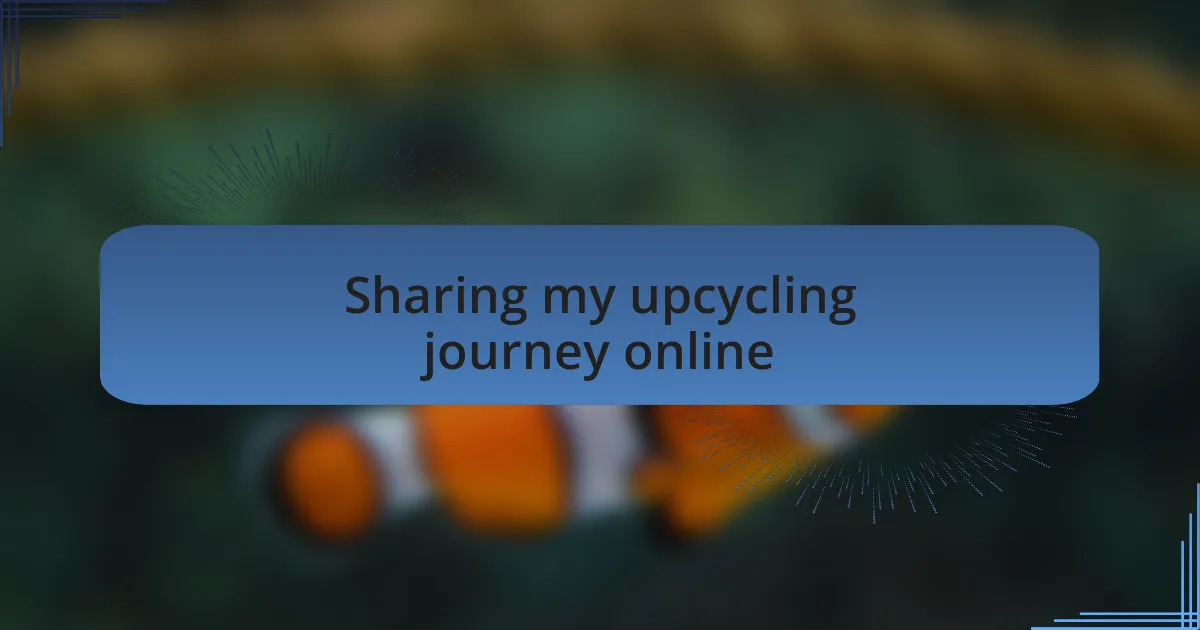 Sharing my upcycling journey online