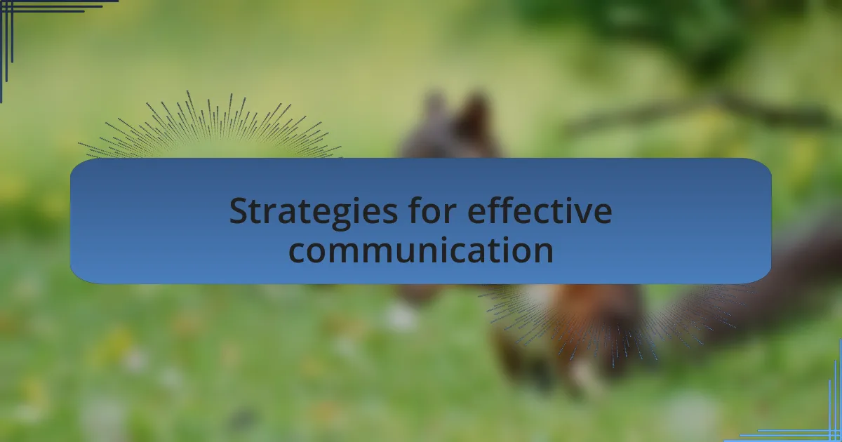 Strategies for effective communication