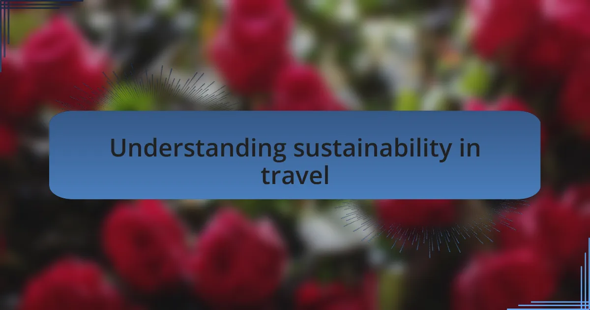 Understanding sustainability in travel