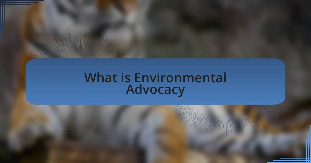 What is Environmental Advocacy